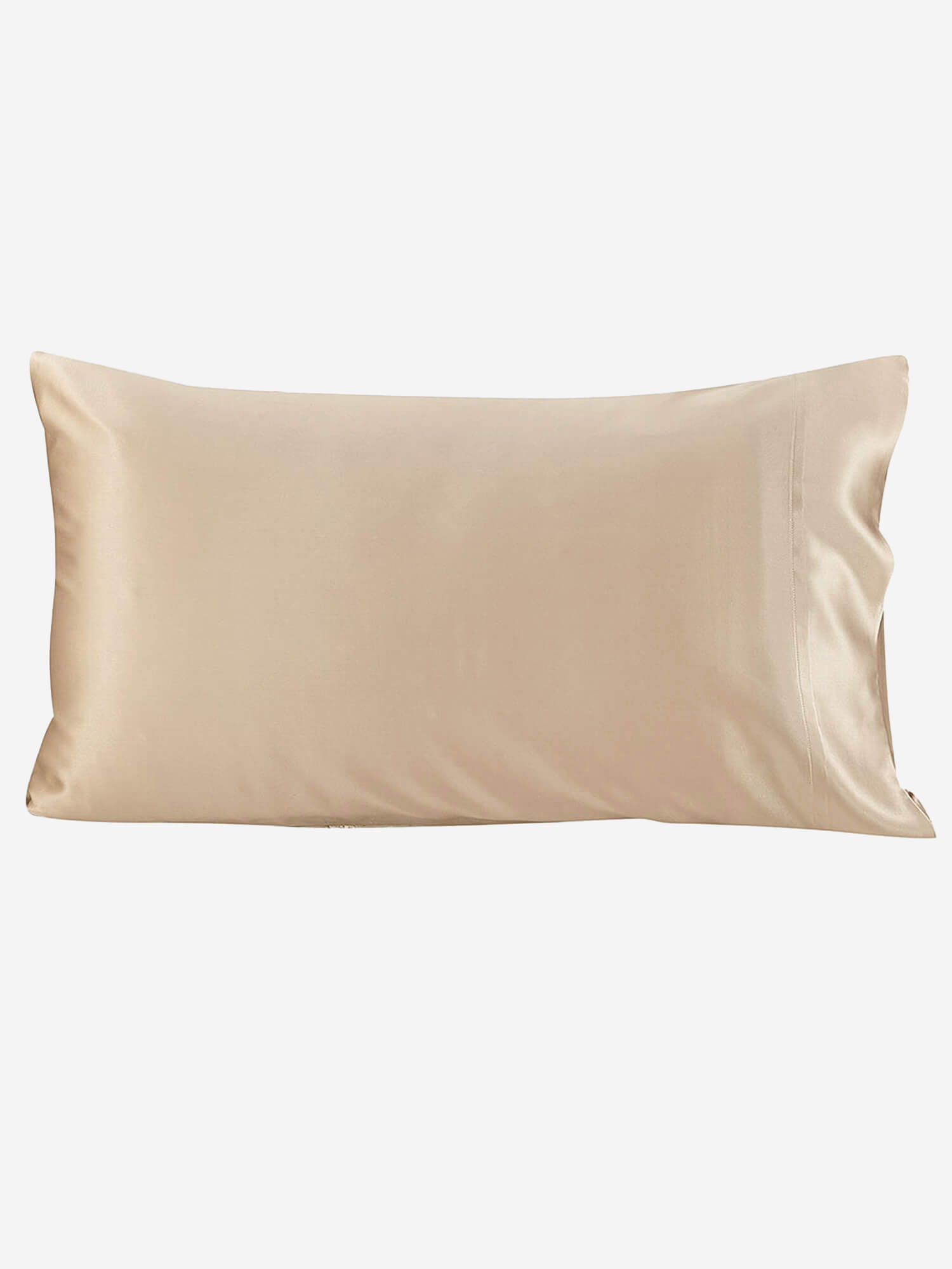 19 Momme Housewife Envelope Closure Silk Pillowcase