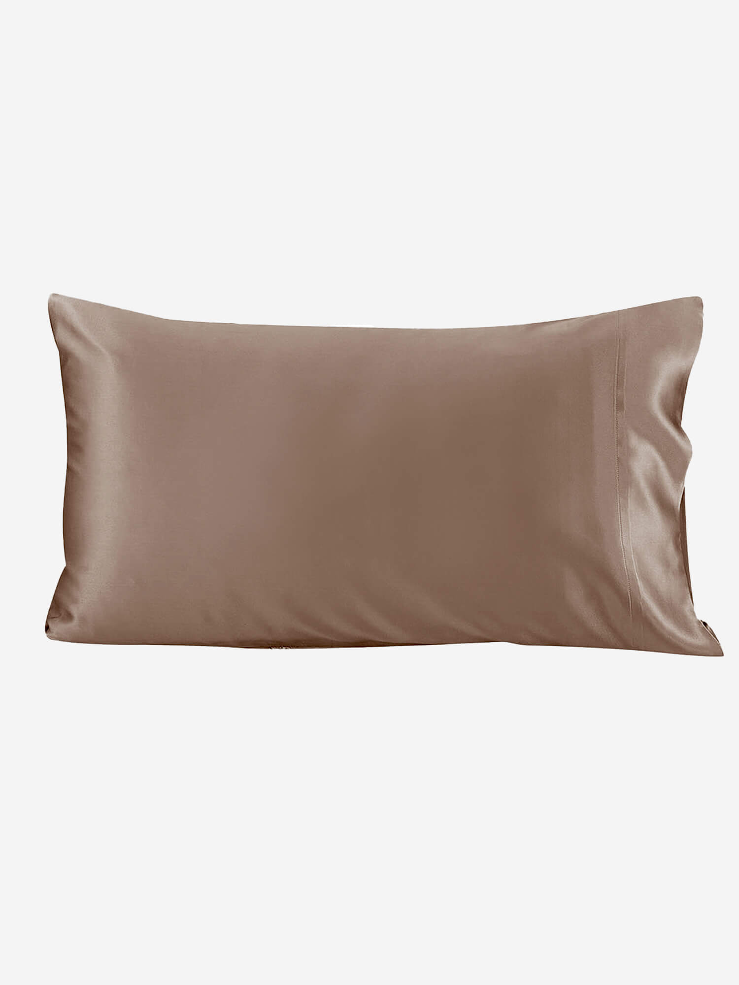 19 Momme Housewife Envelope Closure Silk Pillowcase