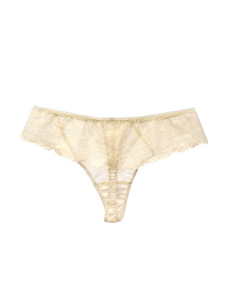 Silk Mesh Sexy Thong Panty