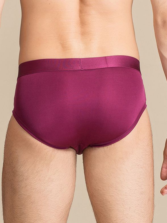 Men's Ultra Soft Comfy Silk Triangle Boxer Briefs